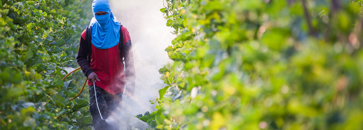 spraying pesticide